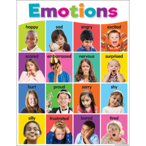 Colorful Emotions Chart (lamination included)